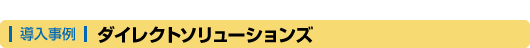 導入事例 ダイレクトソリューションズ